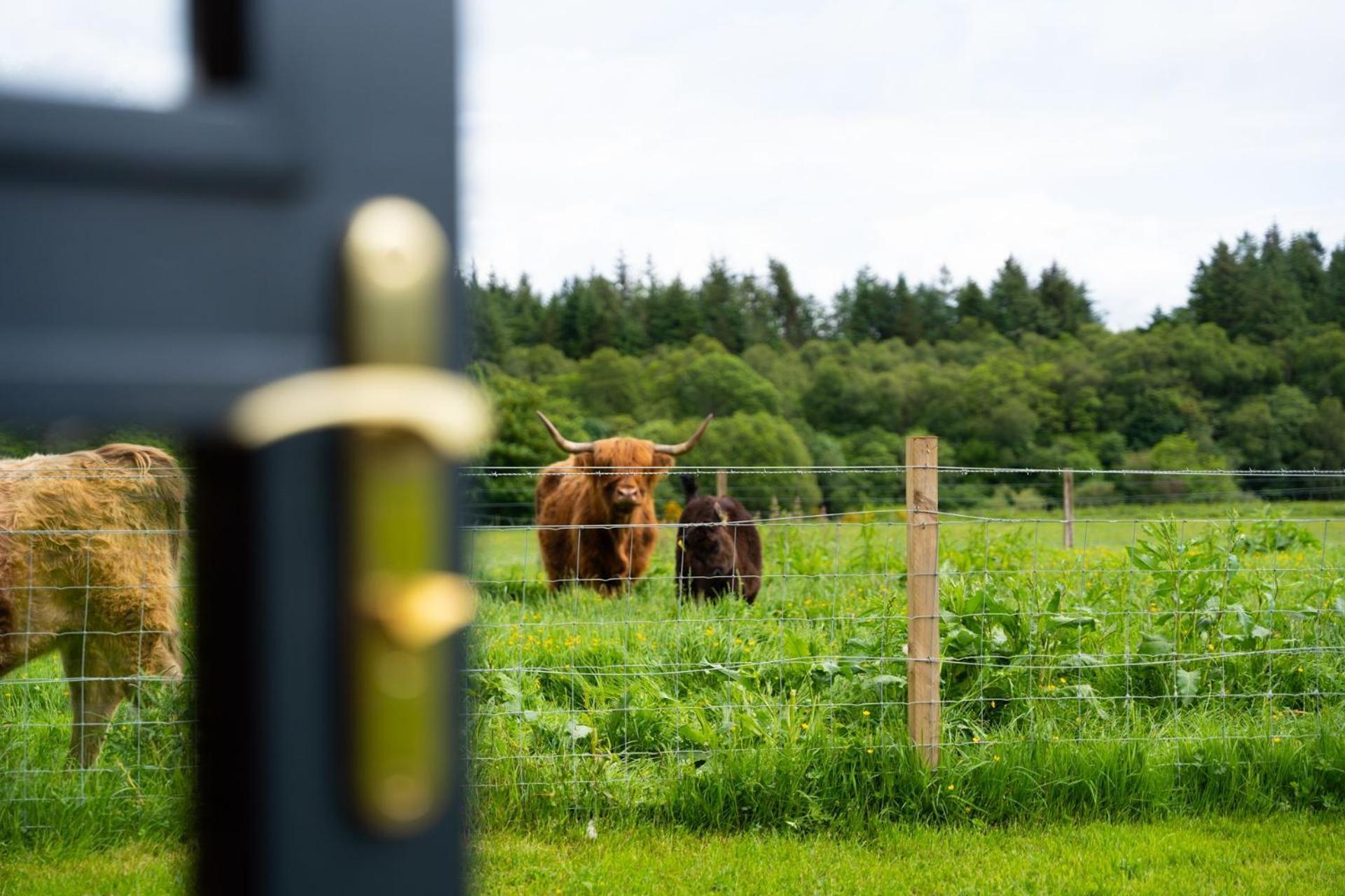 Ben Nevis Pod Villa Fort William Ngoại thất bức ảnh